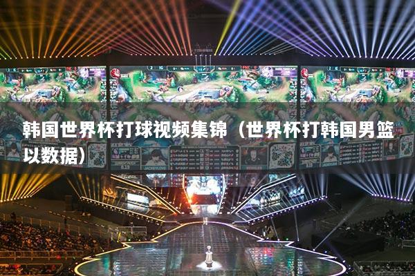 韩国世界杯打球视频集锦（世界杯打韩国男篮以数据）