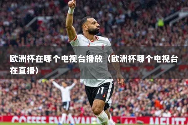 欧洲杯在哪个电视台播放(欧洲杯哪个电视台在直播)
