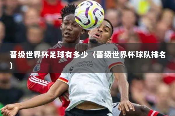 晋级世界杯足球有多少(晋级世界杯球队排名)