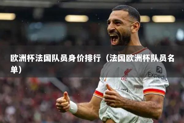 欧洲杯法国队员身价排行(法国欧洲杯队员名单)