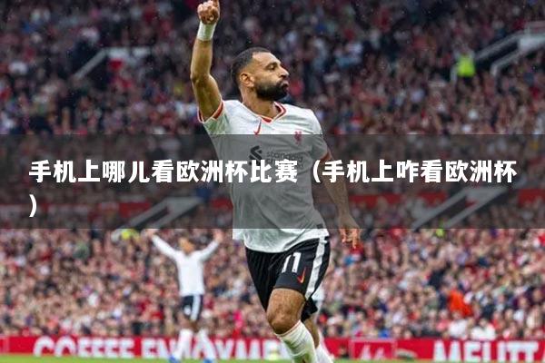 手机上哪儿看欧洲杯比赛（手机上咋看欧洲杯）
