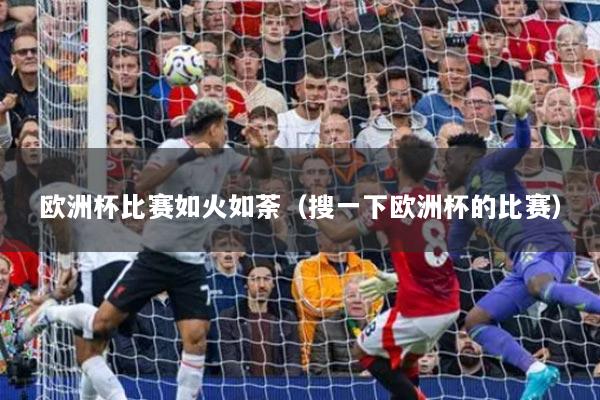 欧洲杯比赛如火如荼（搜一下欧洲杯的比赛）