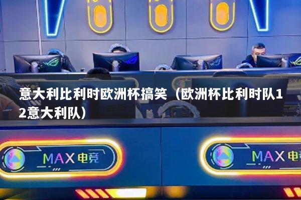 意大利比利时欧洲杯搞笑（欧洲杯比利时队12意大利队）