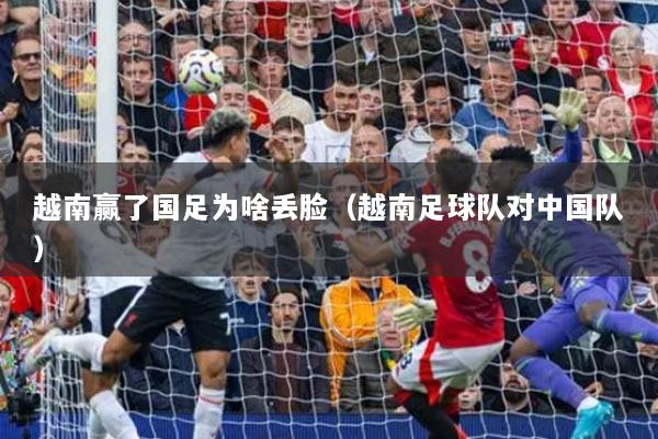 越南赢了国足为啥丢脸（越南足球队对中国队）