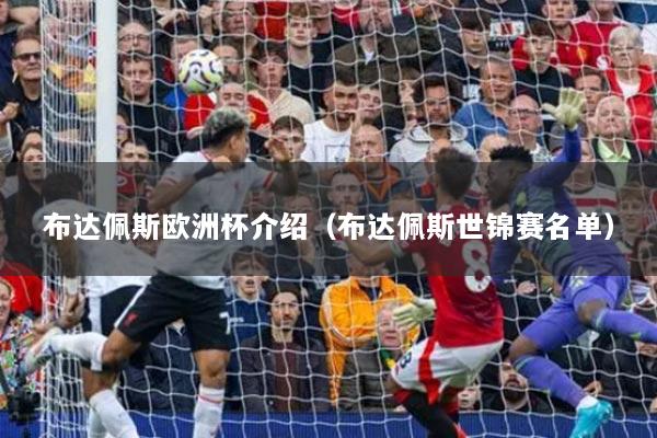 详细阅读:布达佩斯欧洲杯介绍(布达佩斯世锦赛名单) 布达佩斯欧洲杯介绍(布达佩斯世锦赛名单)